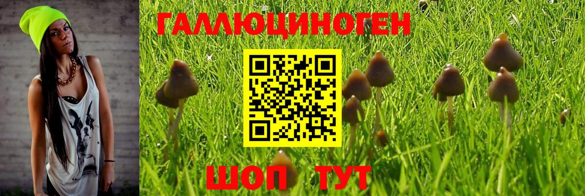 Галлюциногенные грибы Cubensis Вязьма
