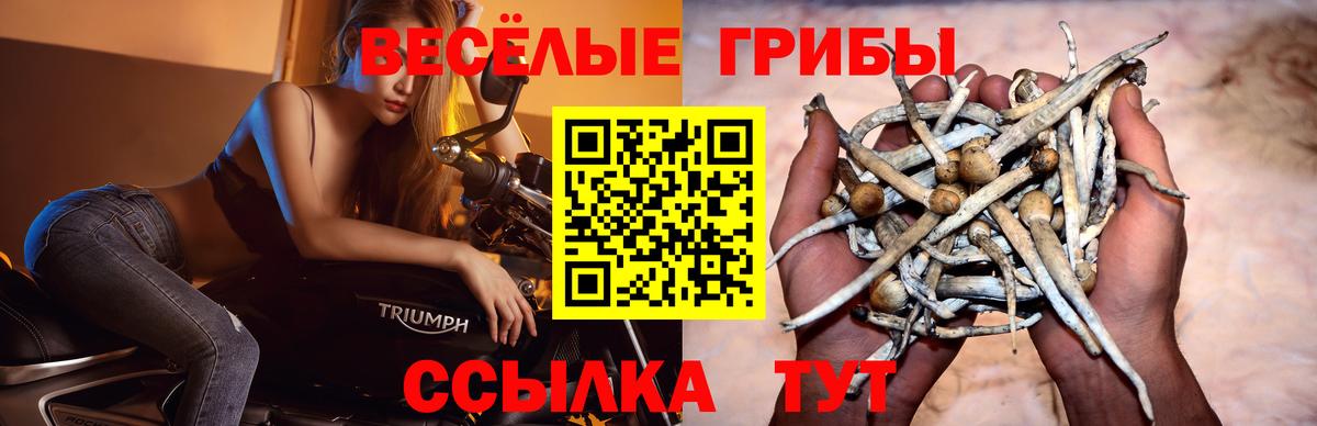 Вязьма  Галлюциногенные грибы MAGIC MUSHROOMS  Вход с VPN 